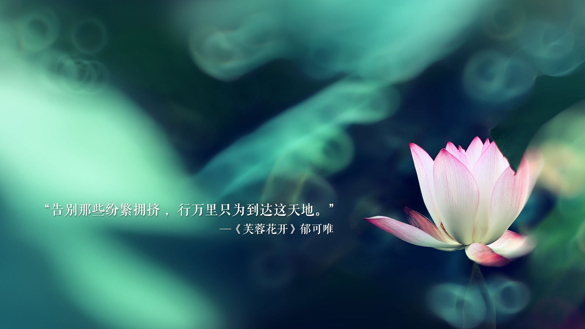 kaiyun.com-皇马主场1-1战平巴列卡诺，错失两分，皇马10-2巴列卡诺视频