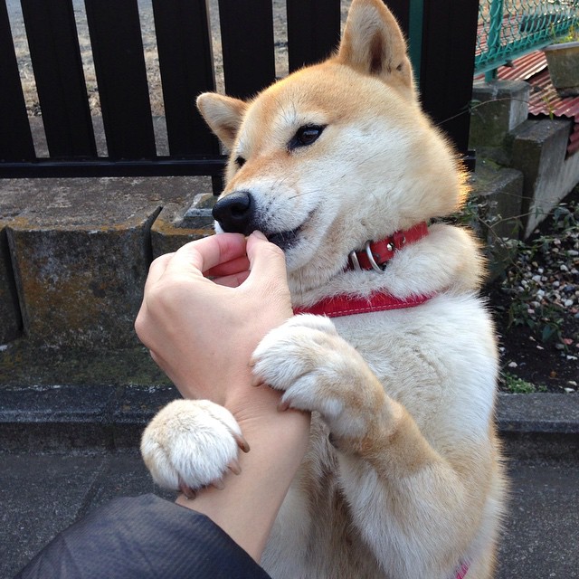 莱比锡年轻球员崭露头角,莱比锡青训