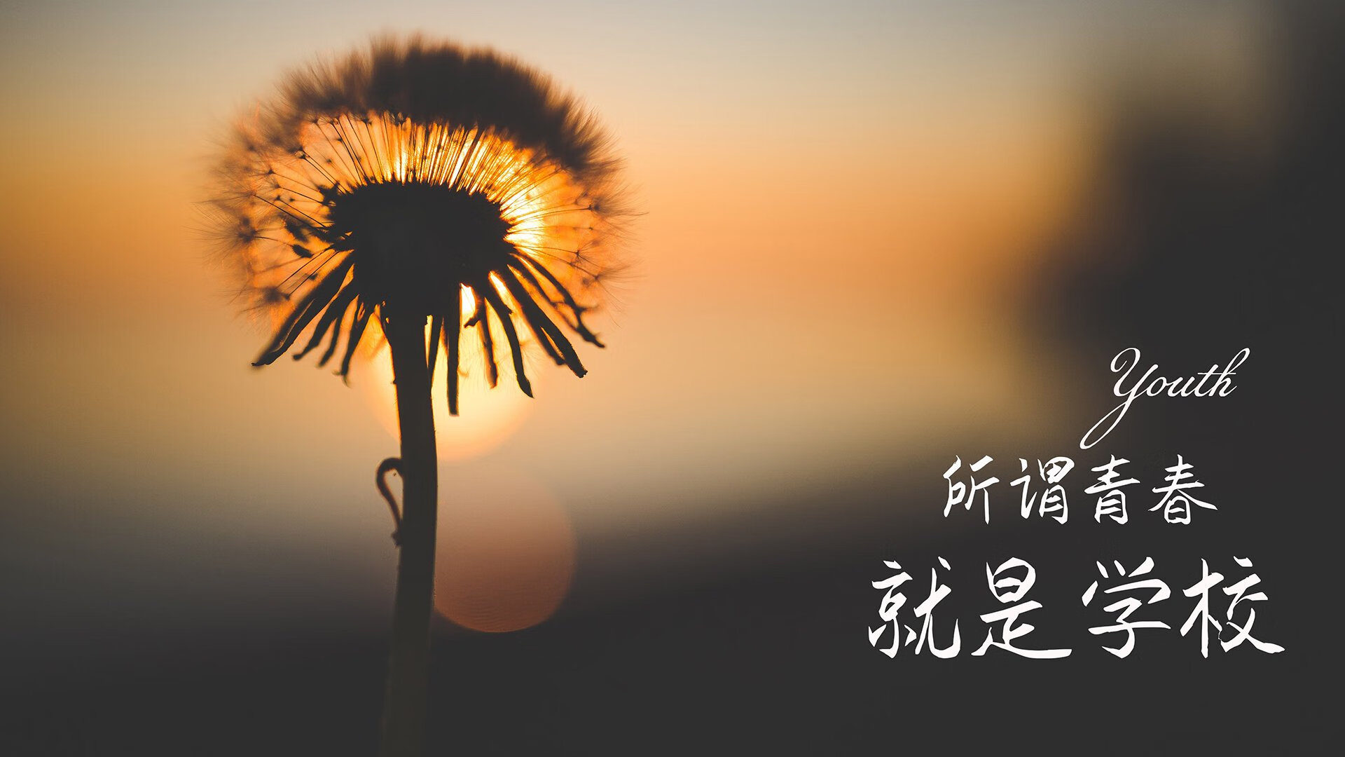 非洲篮球夏季联赛圆满收官，冠军花落谁家？，非洲 篮球
