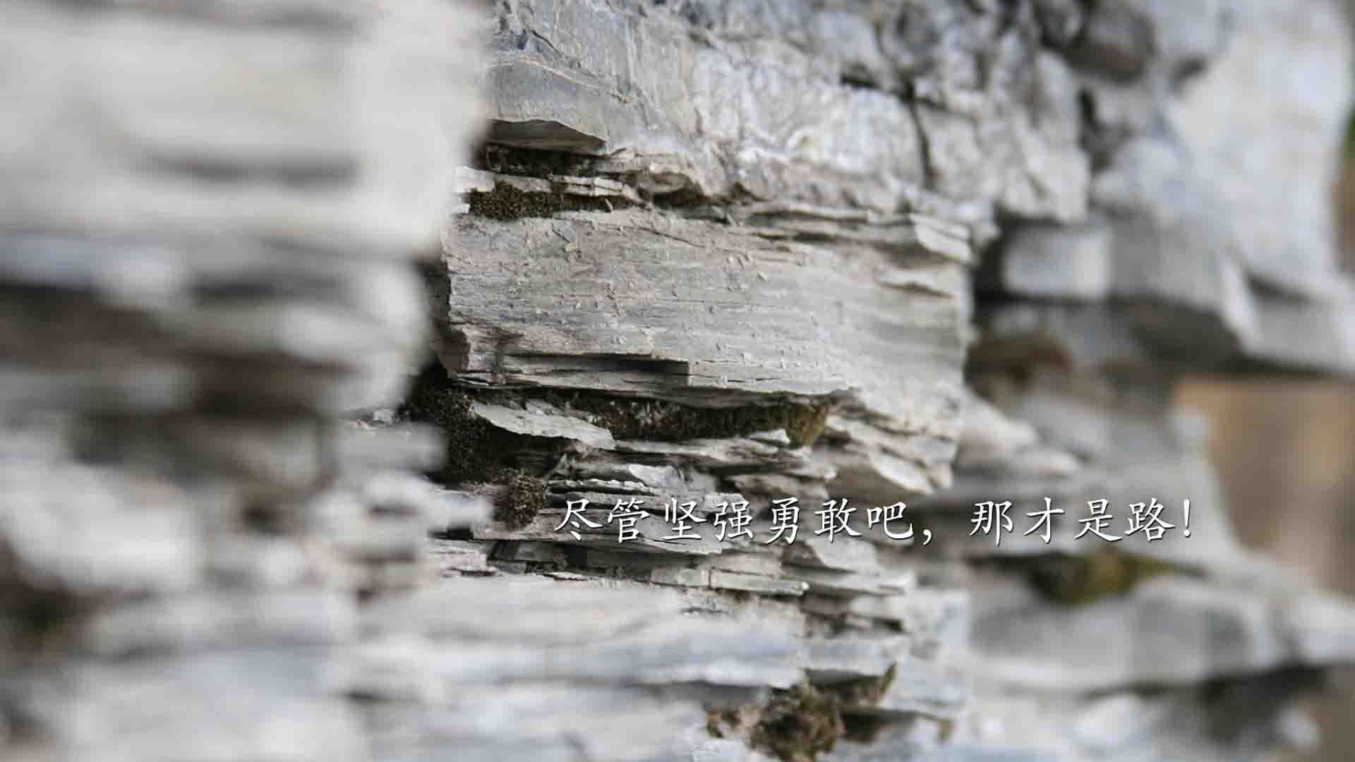 全景直播技术融入国际赛事，开启沉浸式观赛新时代，全景直播是什么意思