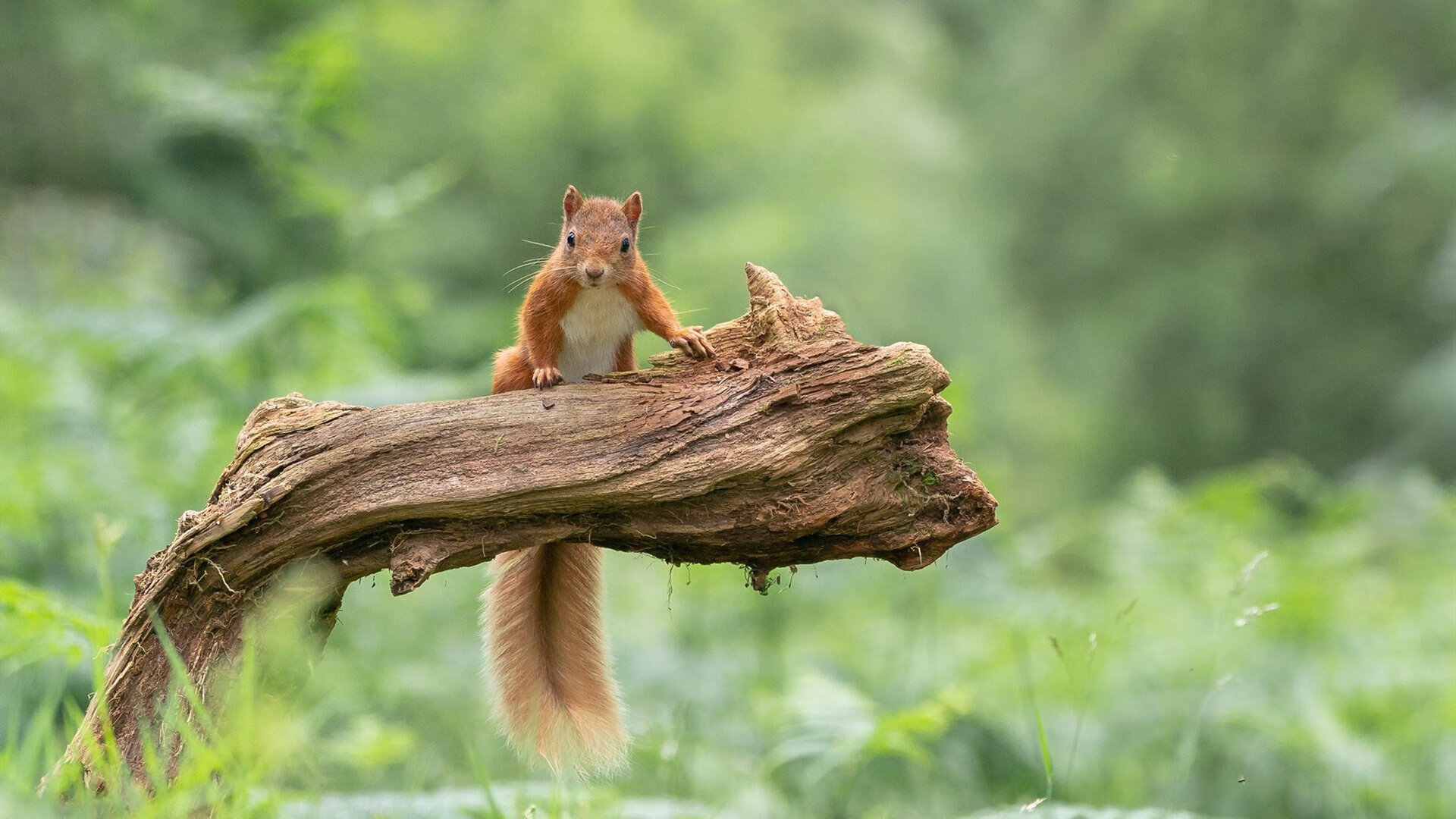 布克强调赛前沟通是太阳稳定发挥基础