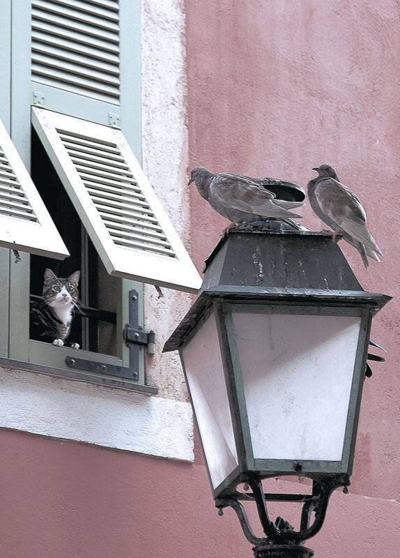 欧洲杯的社交媒体营销趋势分析,社交媒体营销现状