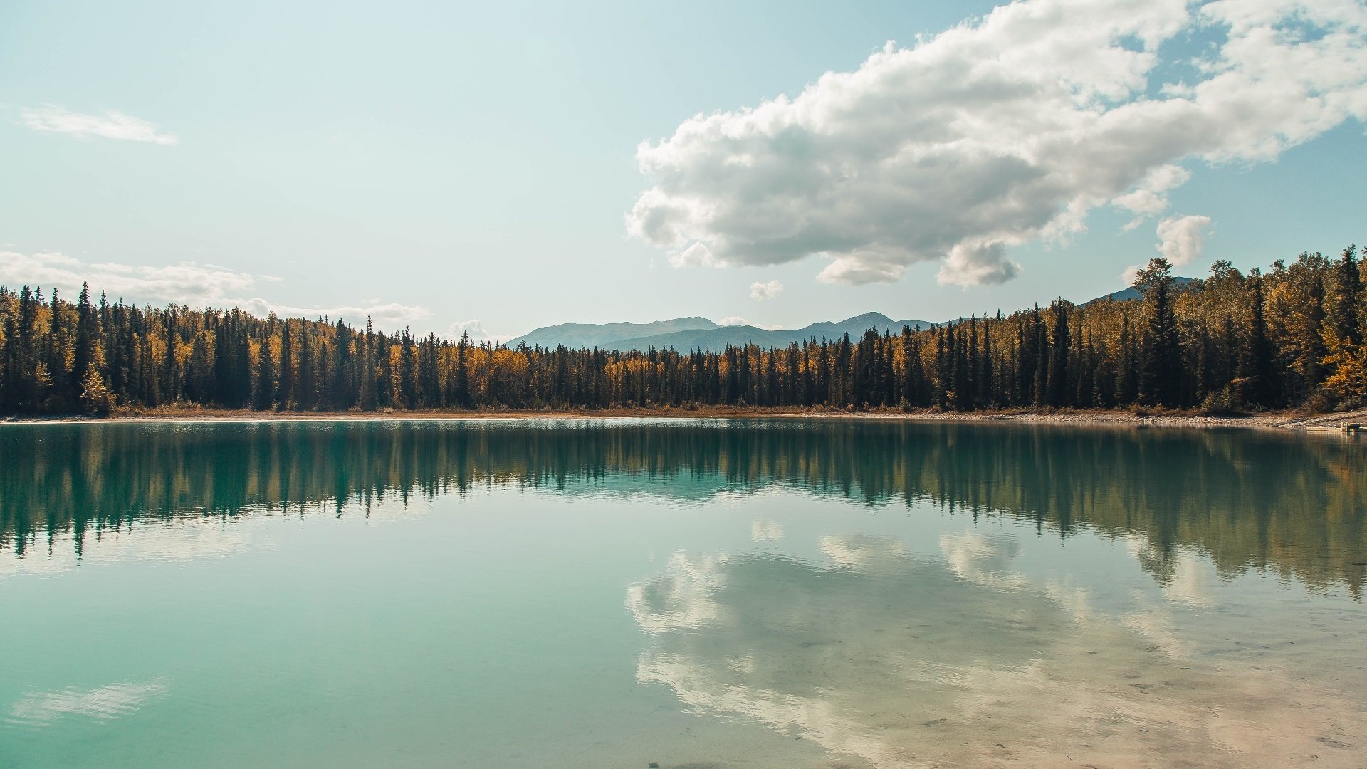开云官方网页登录-活塞重建再出发新人表现令人期待，活塞id