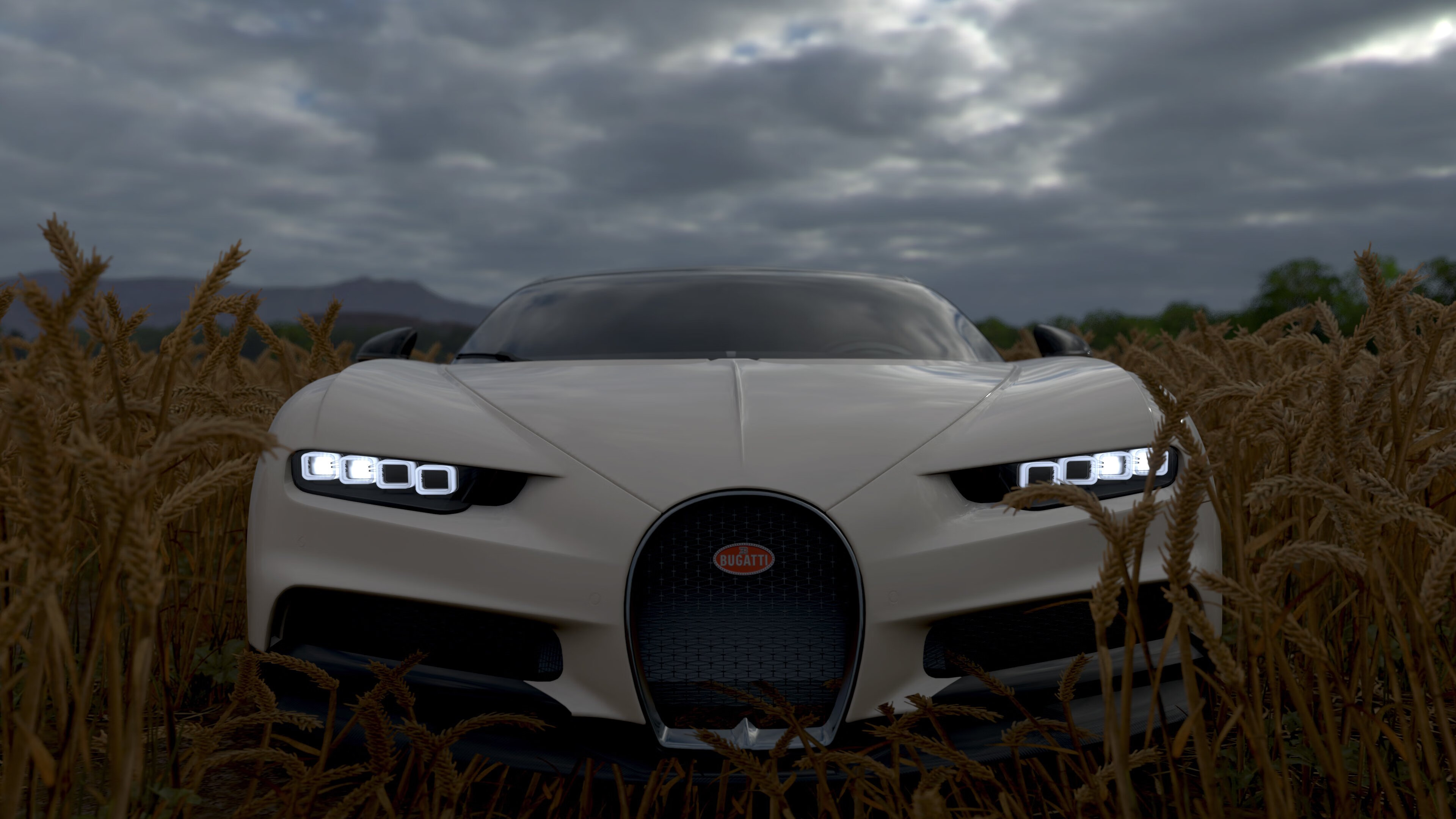 澳大利亚女子4×200米自由泳接力决赛夺冠,澳大利亚女子游泳接力