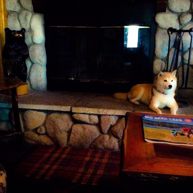 开云官方网站-独行侠主帅带领球员亲自整理训练器材，独行侠球队的球员