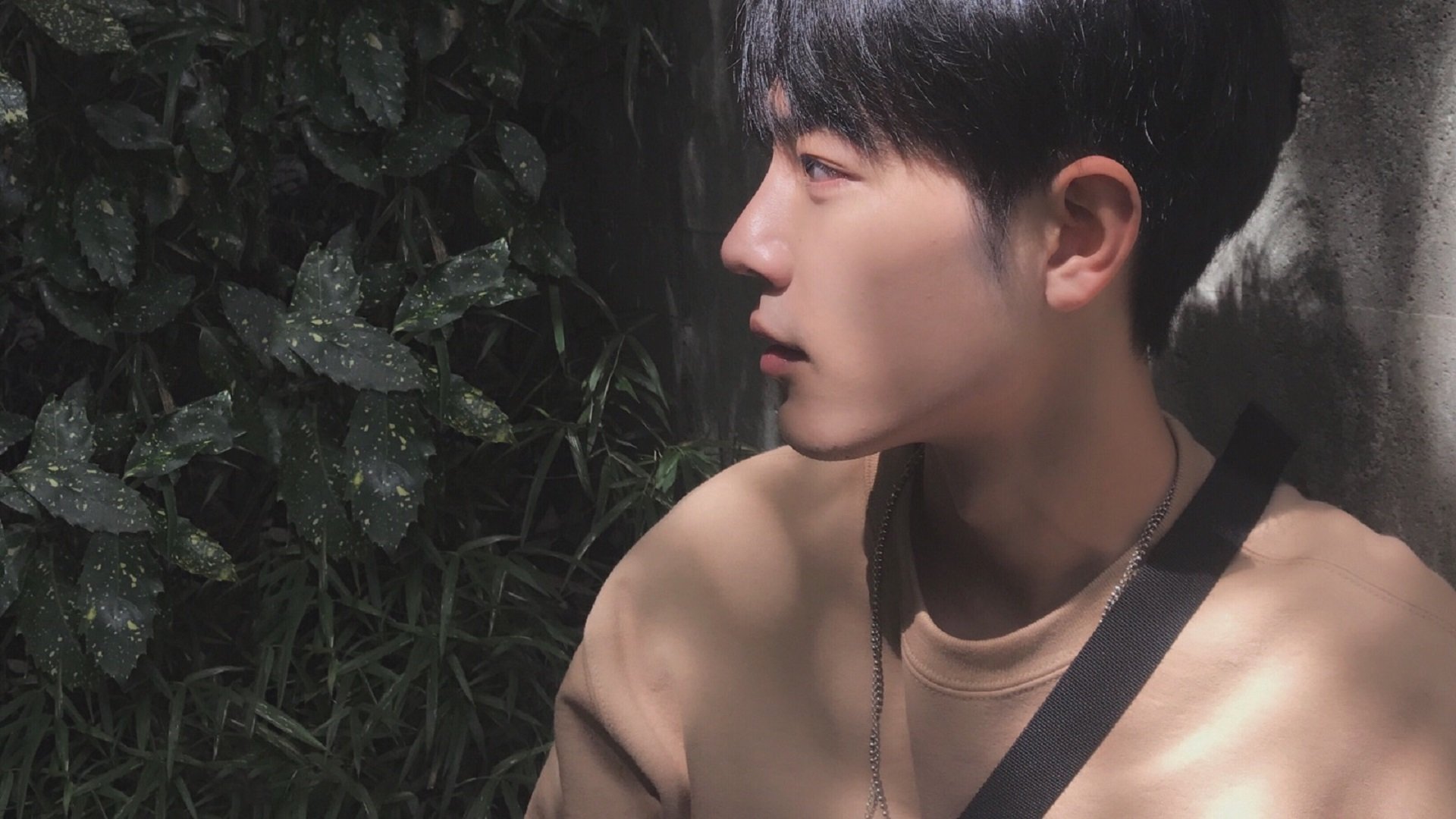 开云中国-荷兰水球男队展现团队战斗力，荷球被称为荷兰式的篮球