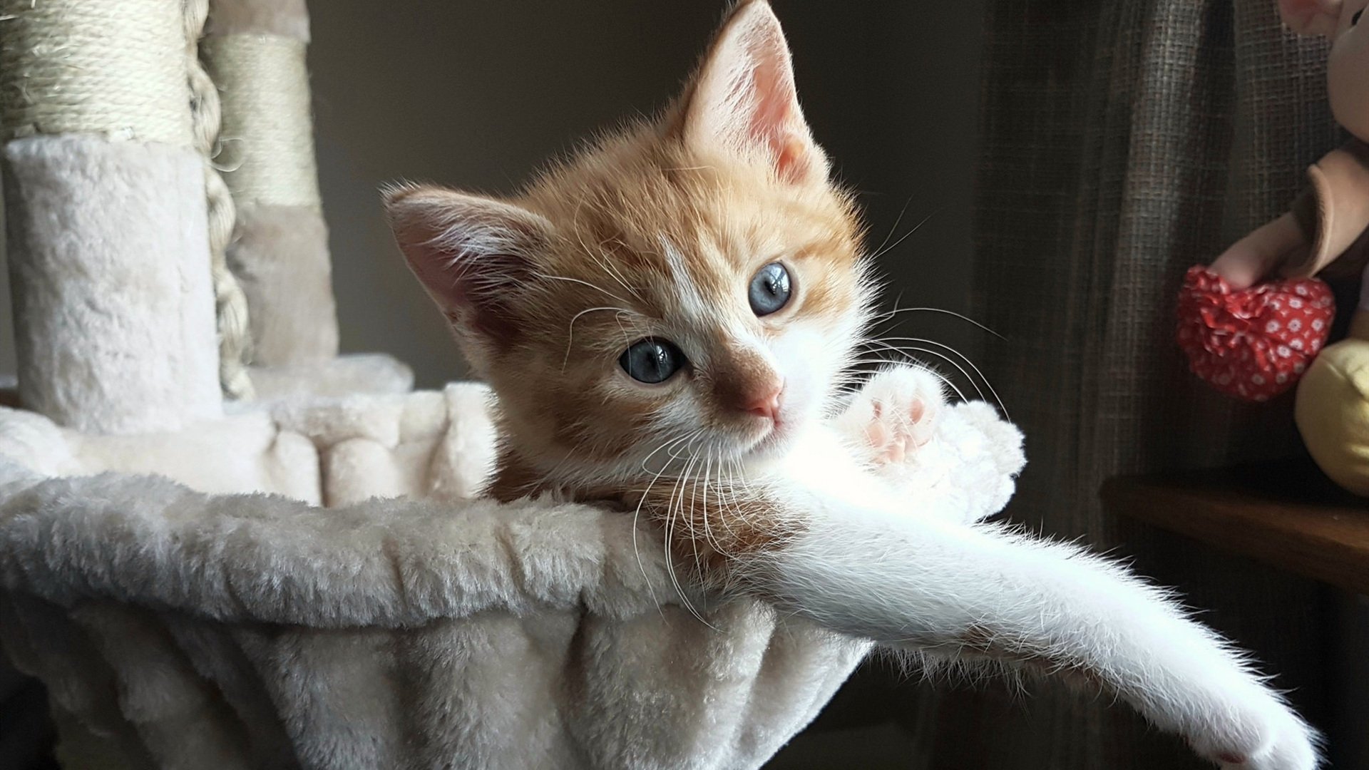 队员赛后复盘中提出建议展示良好沟通氛围与团队意识