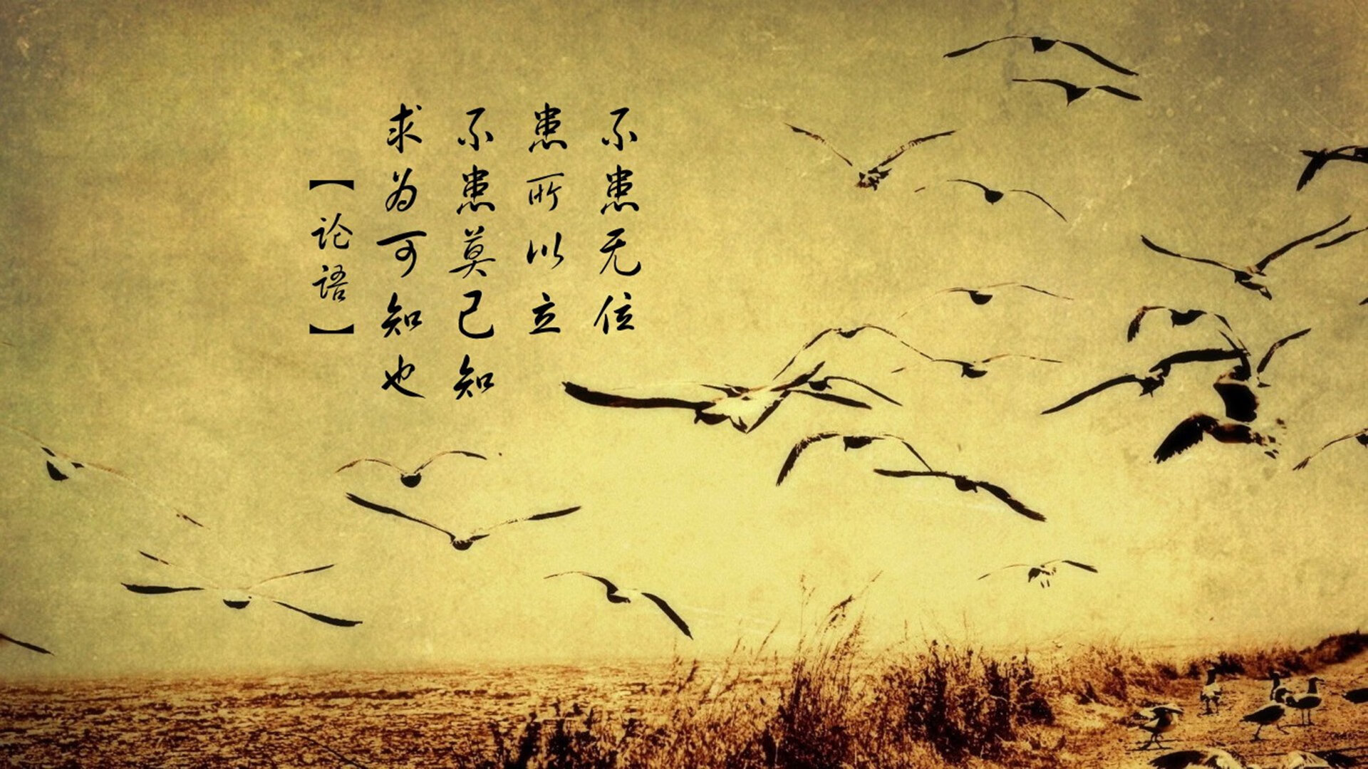 KAIYUNAPP-青训营启动多时段训练制匹配不同发展节奏需求，青训营标准