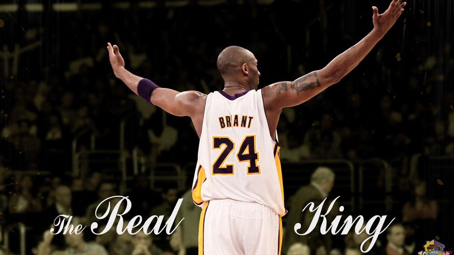 开云体育官网登入-迈向职业巅峰：运动员的成长之路，运动员生涯的感悟